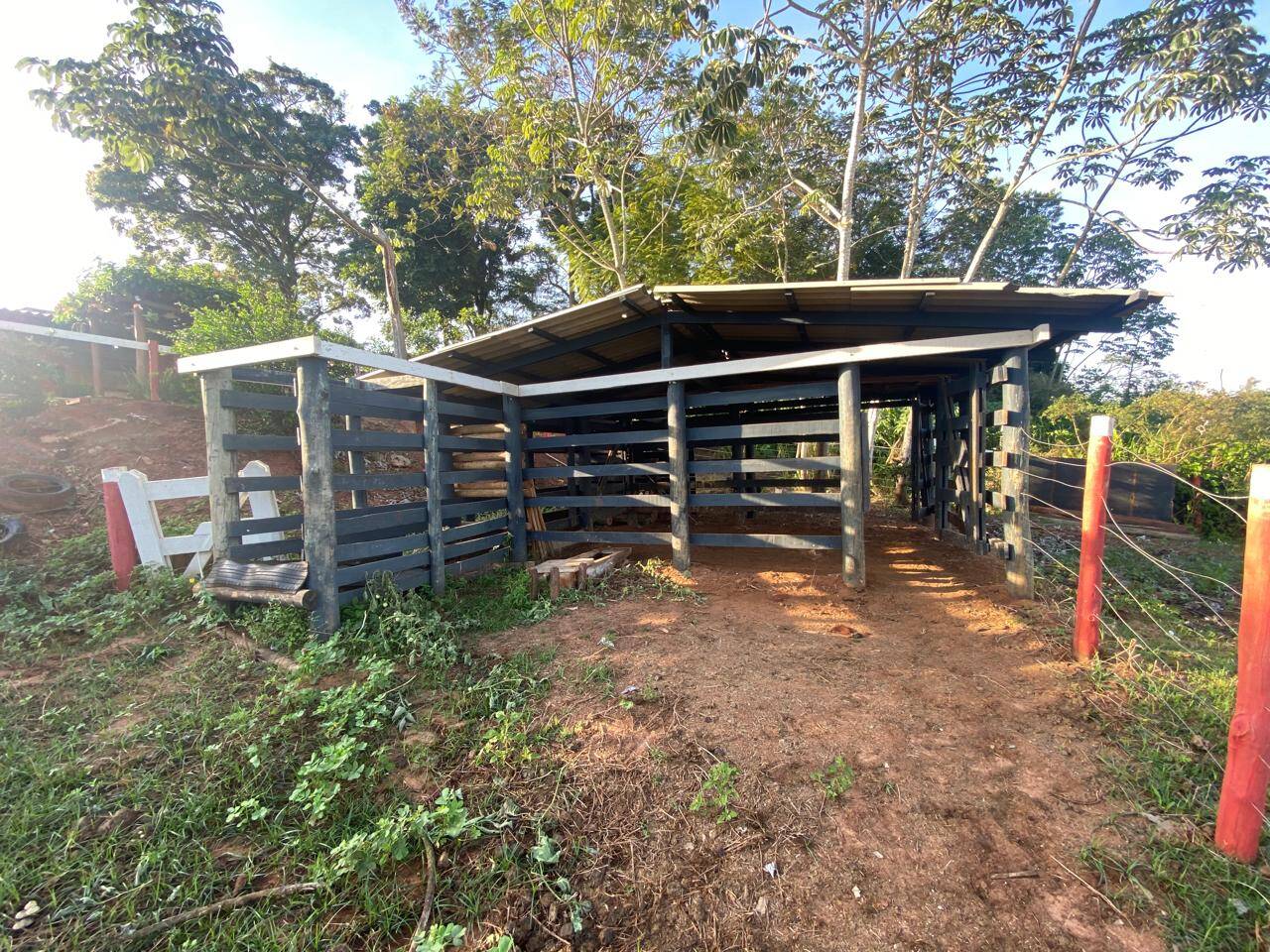 Terreno, 7229 m² - Foto 10