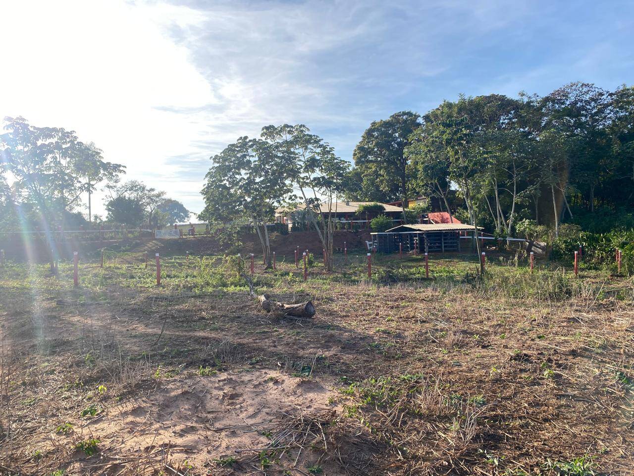 Terreno, 7229 m² - Foto 15