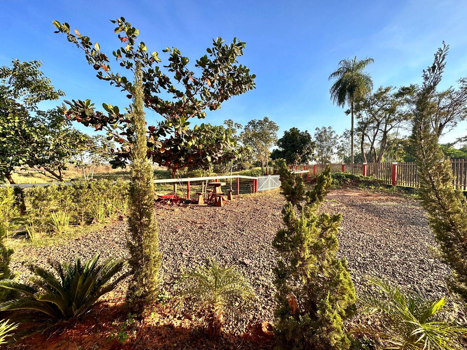 Terreno, 7229 m² - Foto 23