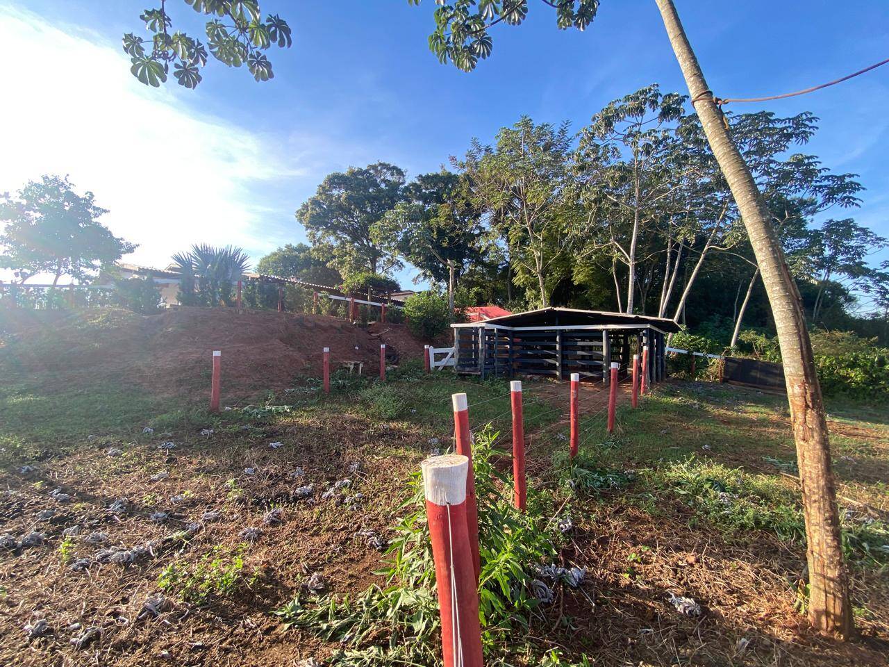 Terreno, 7229 m² - Foto 26