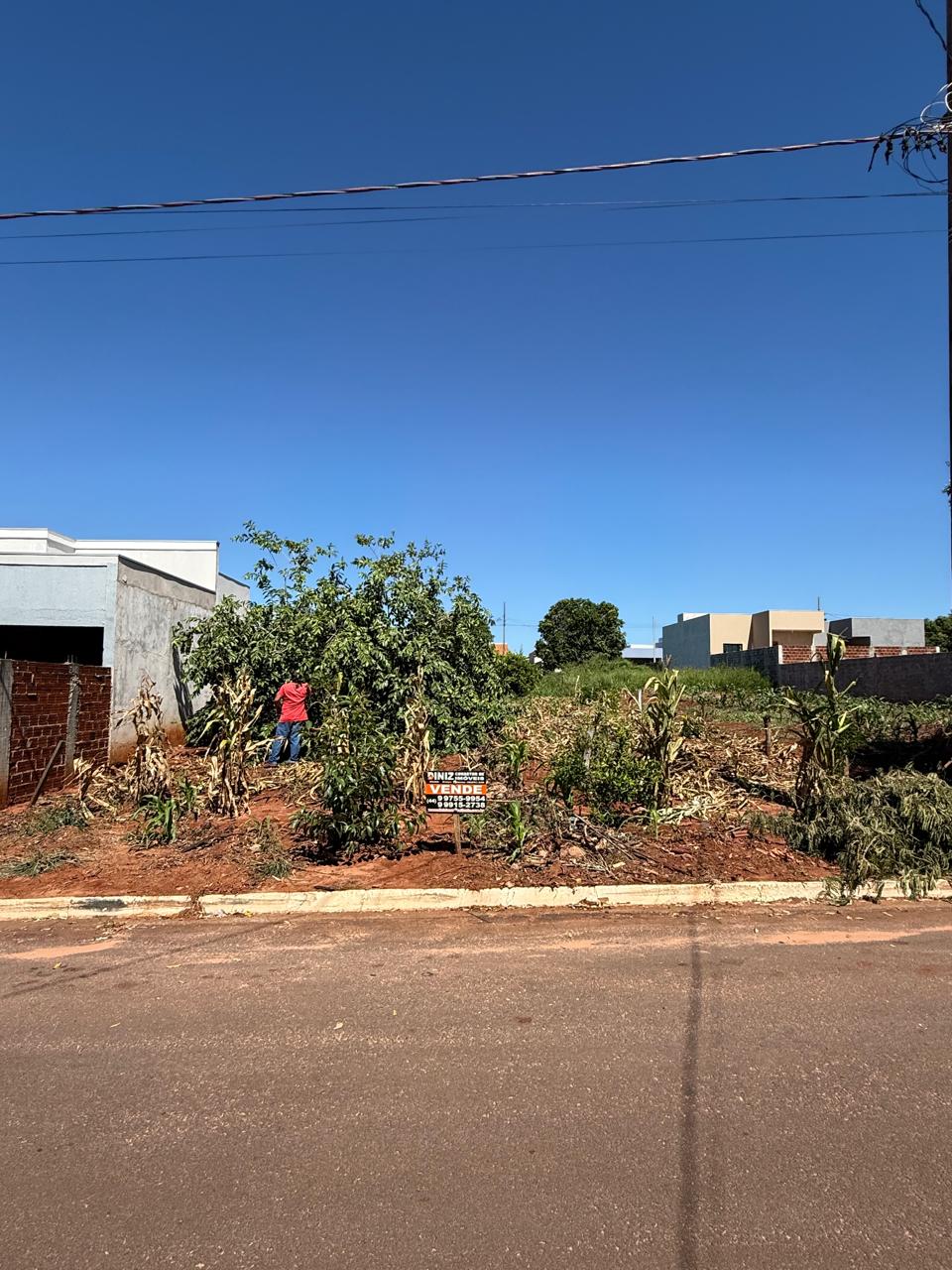 Terreno, 27 hectares - Foto 2