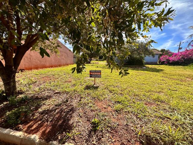 #312 - Área para Venda em Altônia - PR - 2