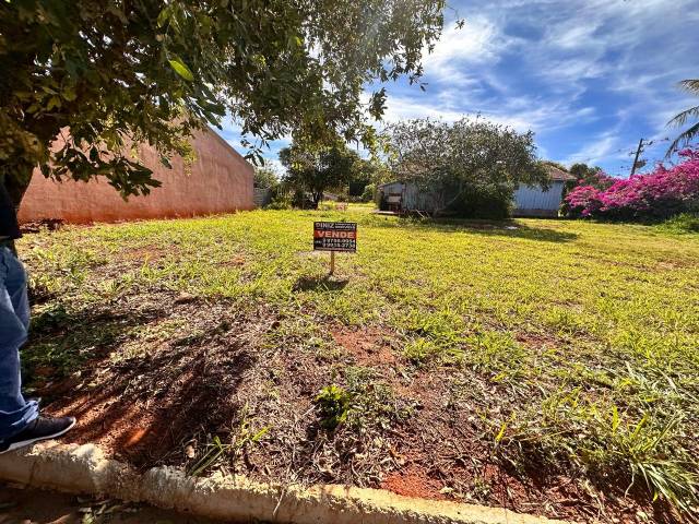 #312 - Área para Venda em Altônia - PR - 3