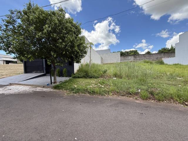 #316 - Área para Venda em Umuarama - PR - 3