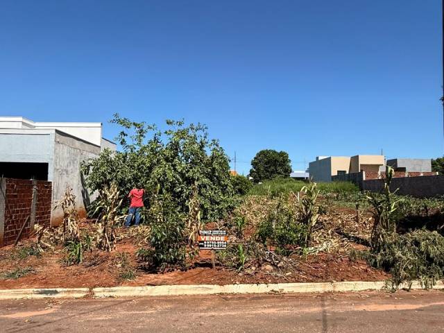 #317 - Área para Venda em Altônia - PR - 2